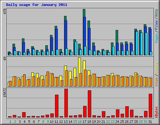 Daily usage for January 2011