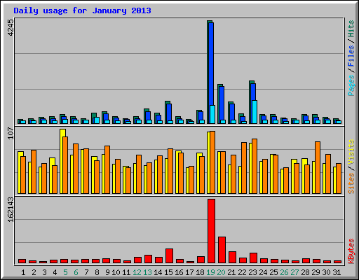 Daily usage for January 2013