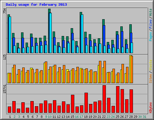 Daily usage for February 2013