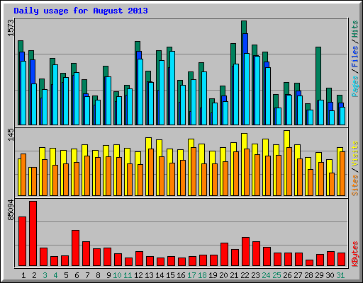 Daily usage for August 2013