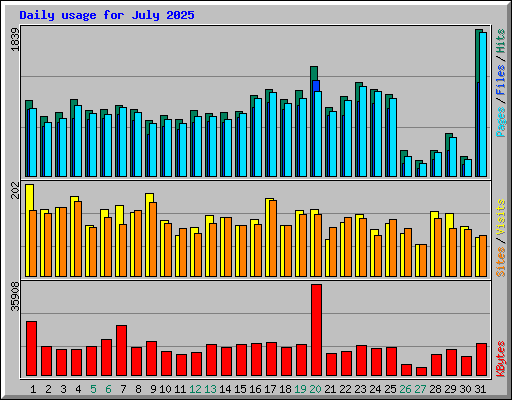 Daily usage for July 2025