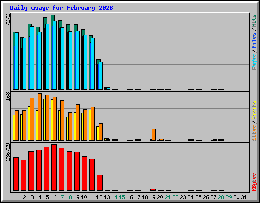 Daily usage for February 2026