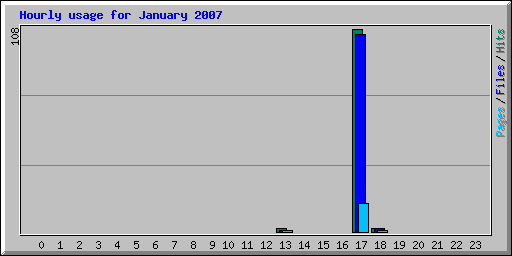 Hourly usage for January 2007