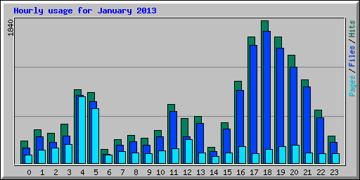 Hourly usage for January 2013