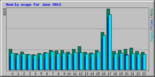 Hourly usage for June 2013