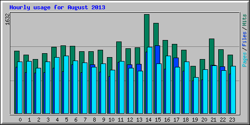 Hourly usage for August 2013