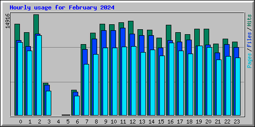 Hourly usage for February 2024