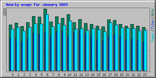 Hourly usage for January 2025