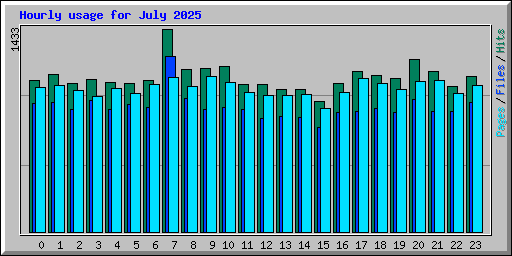 Hourly usage for July 2025