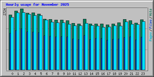 Hourly usage for November 2025