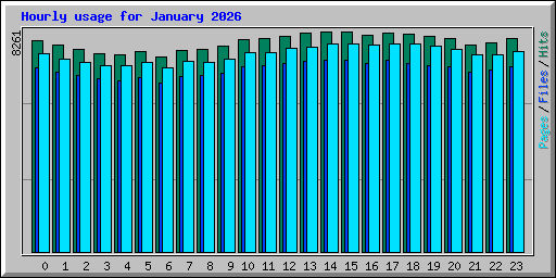Hourly usage for January 2026