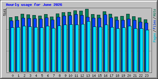 Hourly usage for June 2026